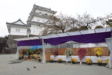 小田原城に投稿された画像（2024/11/14）