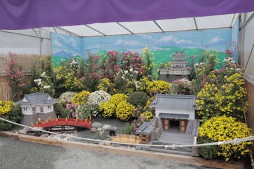 小田原城に投稿された画像（2024/11/14）