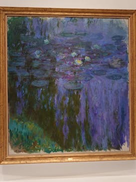 モネ 睡蓮のとき（国立西洋美術館）に投稿された画像（2024/11/15）