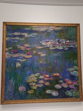 モネ 睡蓮のとき（国立西洋美術館）に投稿された画像（2024/11/15）