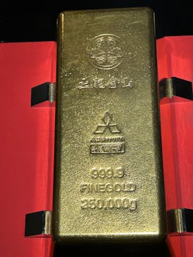 土肥金山に投稿された画像（2024/11/15）