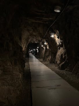 土肥金山に投稿された画像（2024/11/15）