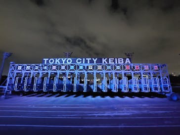 東京メガイルミに投稿された画像（2024/11/15）