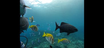 武藤潜水に投稿された画像（2024/11/15）