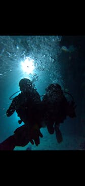 武藤潜水に投稿された画像（2024/11/15）