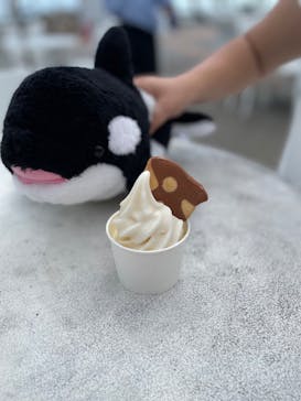 鴨川シーワールドに投稿された画像（2024/11/15）