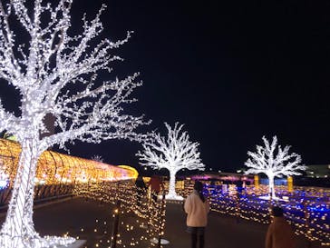 東京メガイルミに投稿された画像（2024/11/15）