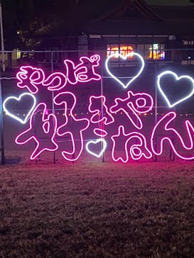 大阪城イルミナージュに投稿された画像（2024/11/15）