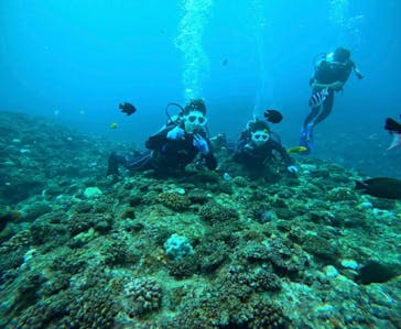 青の洞窟専門店　沖縄ダイビングショップ和に投稿された画像（2024/11/15）