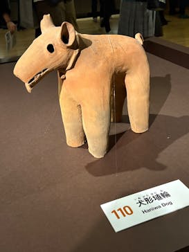 挂甲の武人 国宝指定50周年記念 特別展「はにわ」@東京国立博物館 平成館に投稿された画像（2024/11/15）