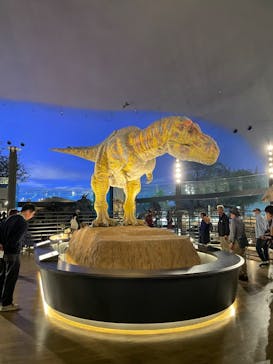 福井県立恐竜博物館に投稿された画像（2024/11/15）