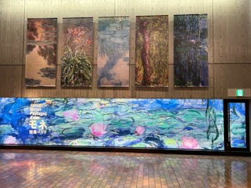 モネ 睡蓮のとき（国立西洋美術館）に投稿された画像（2024/11/15）
