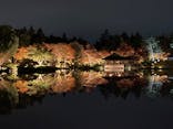 国営昭和記念公園 秋の夜散歩に投稿された画像（2024/11/16）