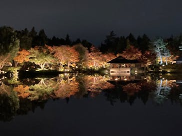 国営昭和記念公園 秋の夜散歩に投稿された画像（2024/11/15）