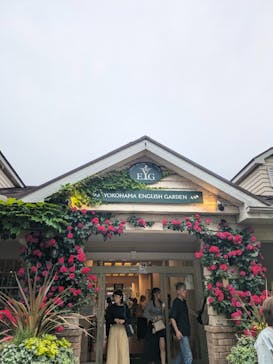 横浜イングリッシュガーデンに投稿された画像（2024/11/15）