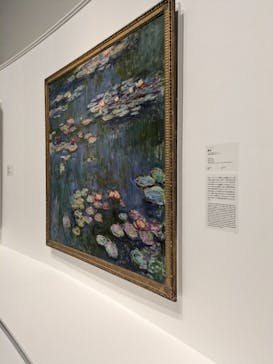 モネ 睡蓮のとき（国立西洋美術館）に投稿された画像（2024/11/15）