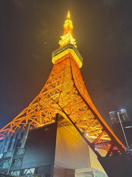 東京タワーに投稿された画像（2024/11/15）