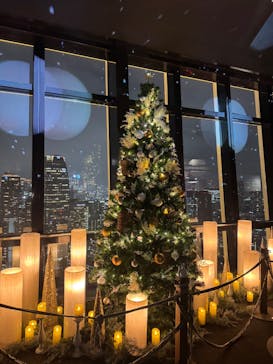 東京タワーに投稿された画像（2024/11/15）