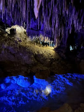 おきなわワールドに投稿された画像（2024/11/16）