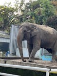 宇都宮動物園に投稿された画像（2024/11/16）