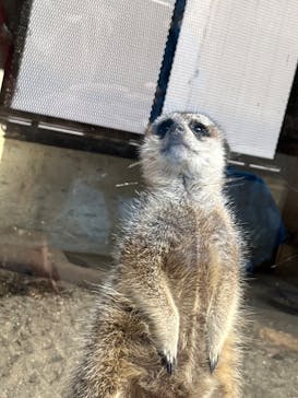 宇都宮動物園に投稿された画像（2024/11/16）