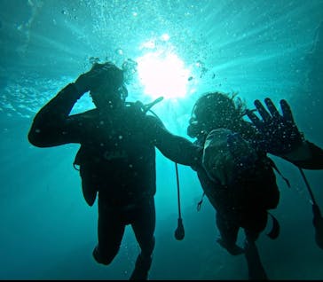 青の洞窟専門店　沖縄ダイビングショップ和に投稿された画像（2024/11/16）