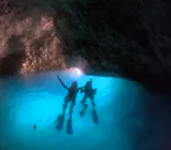 武藤潜水に投稿された画像（2024/11/16）