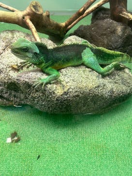 名古屋市東山動植物園に投稿された画像（2024/11/16）