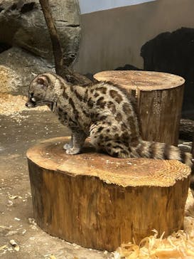 名古屋市東山動植物園に投稿された画像（2024/11/16）