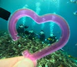 青の洞窟専門店　沖縄ダイビングショップ和に投稿された画像（2024/11/16）