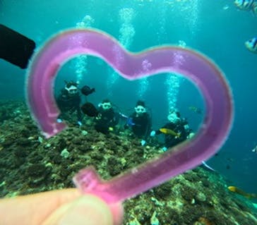 青の洞窟専門店　沖縄ダイビングショップ和に投稿された画像（2024/11/16）