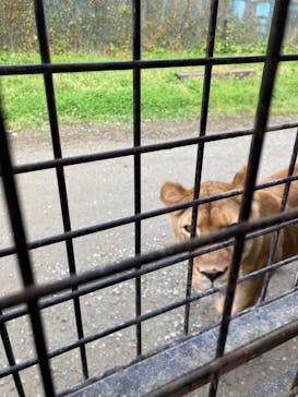 那須サファリパークに投稿された画像（2024/11/16）