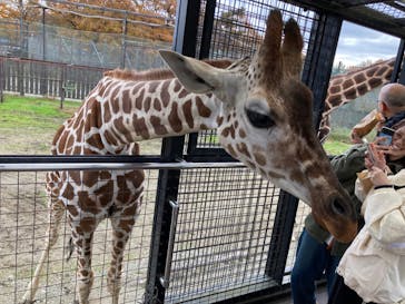 那須サファリパークに投稿された画像（2024/11/16）