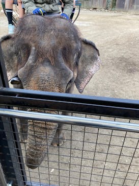 那須サファリパークに投稿された画像（2024/11/16）