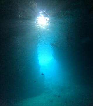 沖縄マリンサービス碧に投稿された画像（2024/11/16）