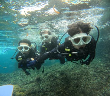 沖縄マリンサービス碧に投稿された画像（2024/11/16）