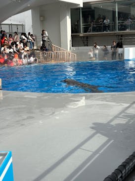 九十九島水族館海きららに投稿された画像（2024/11/16）