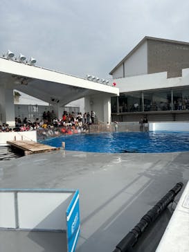 九十九島水族館海きららに投稿された画像（2024/11/16）