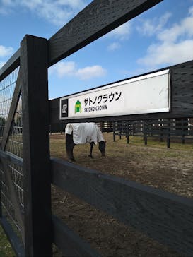 ノーザンホースパークに投稿された画像（2024/11/16）