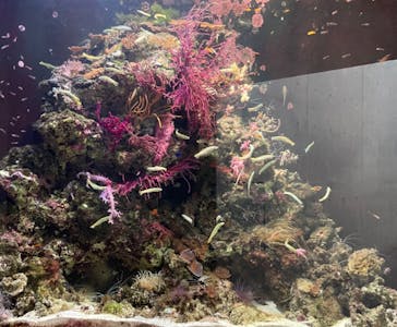 環境水族館アクアマリンふくしまに投稿された画像（2024/11/16）