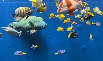 環境水族館アクアマリンふくしまに投稿された画像（2024/11/16）