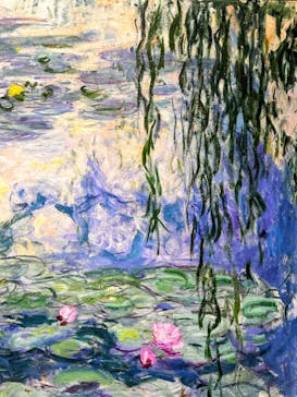 モネ 睡蓮のとき（国立西洋美術館）に投稿された画像（2024/11/16）