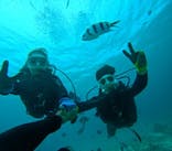 青の洞窟専門店　沖縄ダイビングショップ和に投稿された画像（2024/11/16）