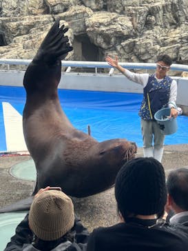 大分マリーンパレス水族館 「うみたまご」に投稿された画像（2024/11/16）