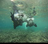 沖縄マリンサービス碧に投稿された画像（2024/11/16）