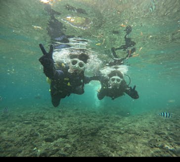 沖縄マリンサービス碧に投稿された画像（2024/11/16）