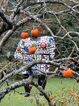 彫刻の森美術館に投稿された画像（2024/11/16）