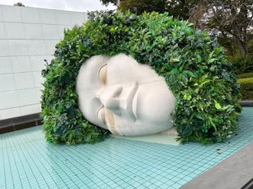 彫刻の森美術館に投稿された画像（2024/11/16）