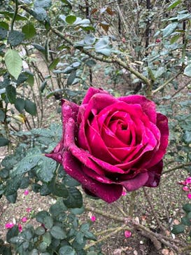 名古屋市東山動植物園に投稿された画像（2024/11/16）