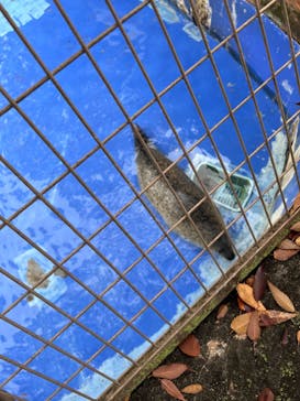 名古屋市東山動植物園に投稿された画像（2024/11/16）